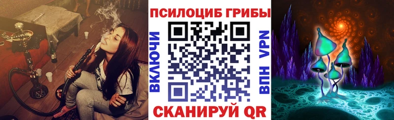 Купить где  Серов  Галлюциногенные грибы MAGIC MUSHROOMS 